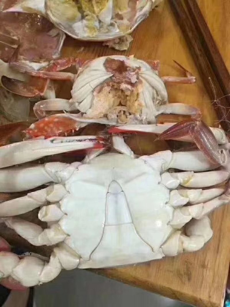 单冻公蟹海捕梭子蟹200/300（约半斤/只）包肥