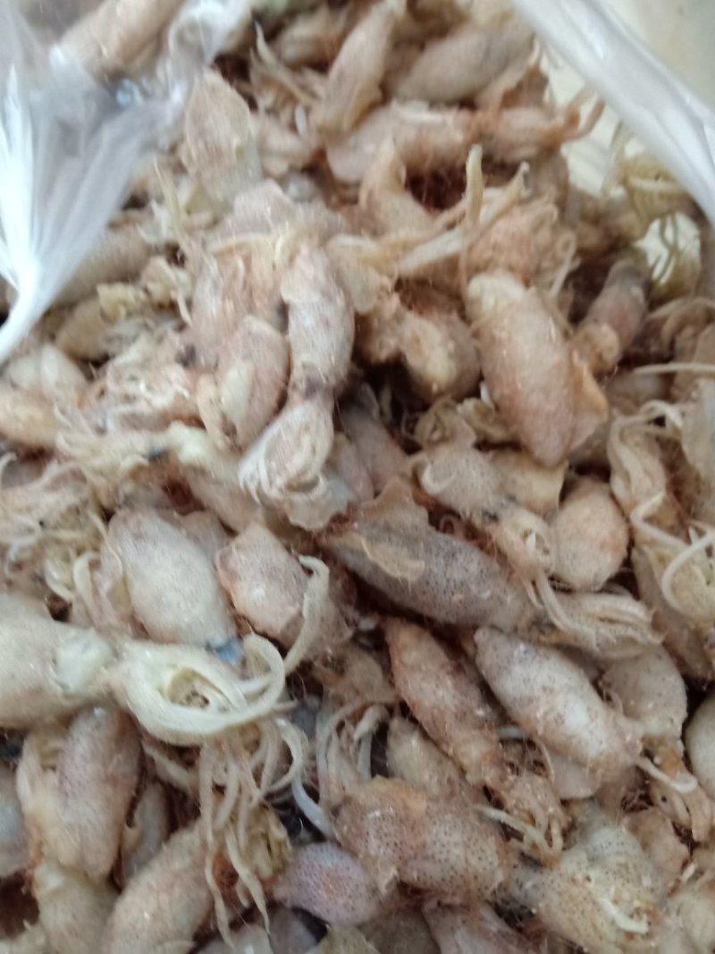 对虾皮皮虾虾皮