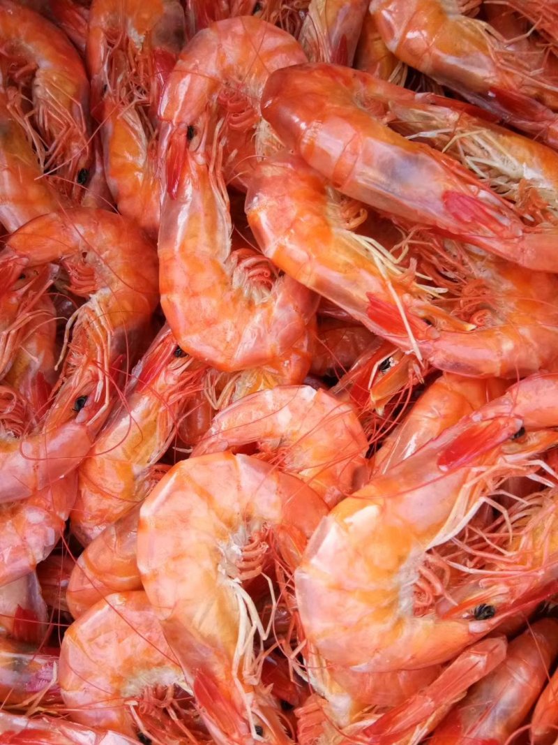 对虾皮皮虾虾皮