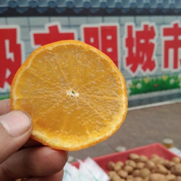 丹棱爱媛38号