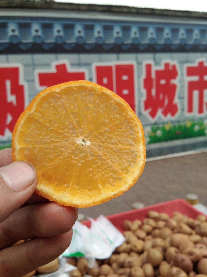 丹棱爱媛38号