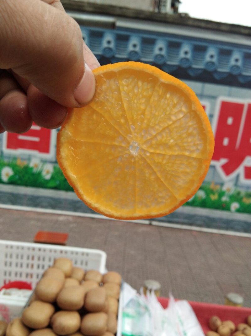 丹棱爱媛38号