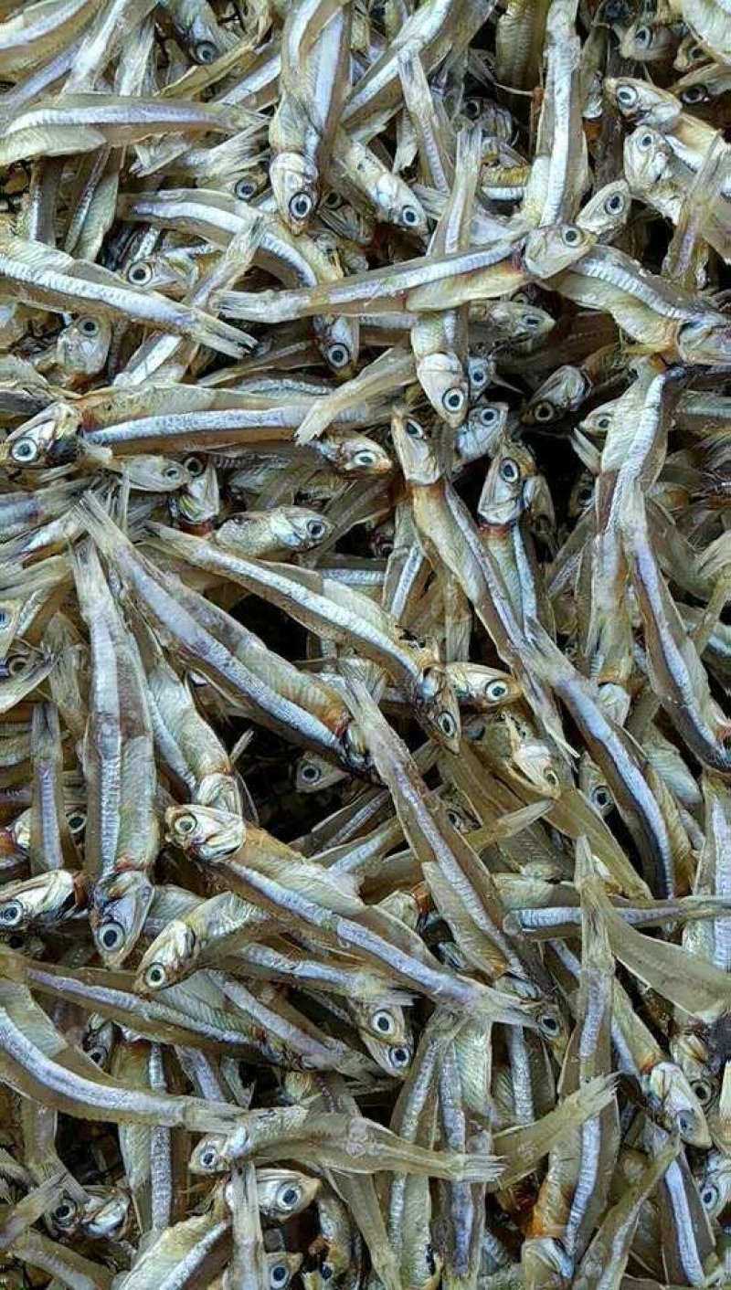 鱼干日晒鱼干，公干鱼深海天然鱼干白帆鱼干