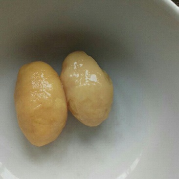 鸡宝