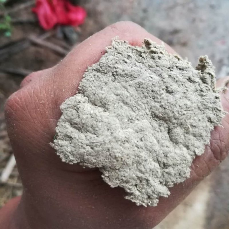 艾草种植加工回收一体化公司