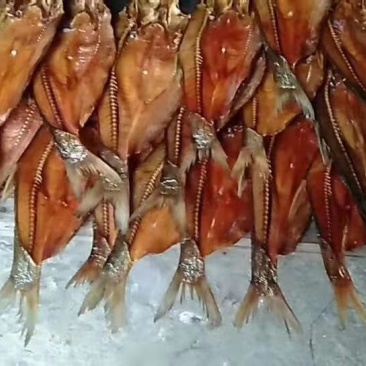 翹魚