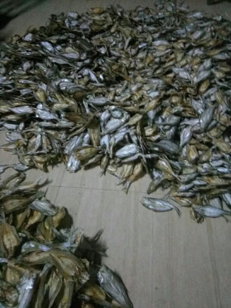 翹魚