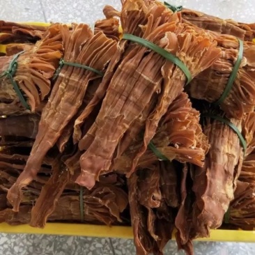 有机麻笋干