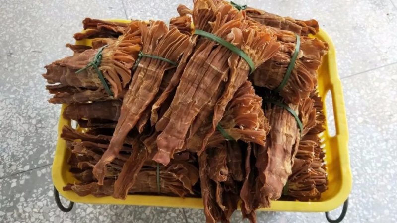 有机麻笋干