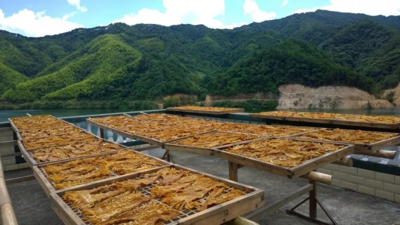 有机麻笋干