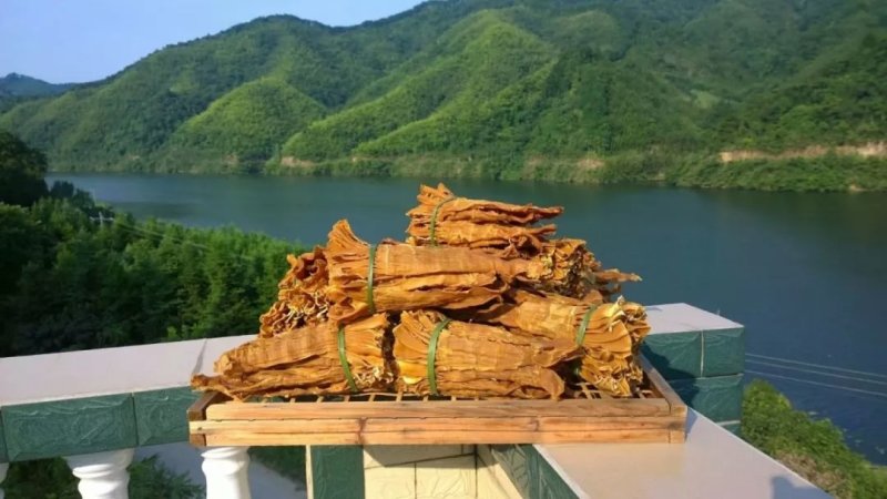 有机麻笋干