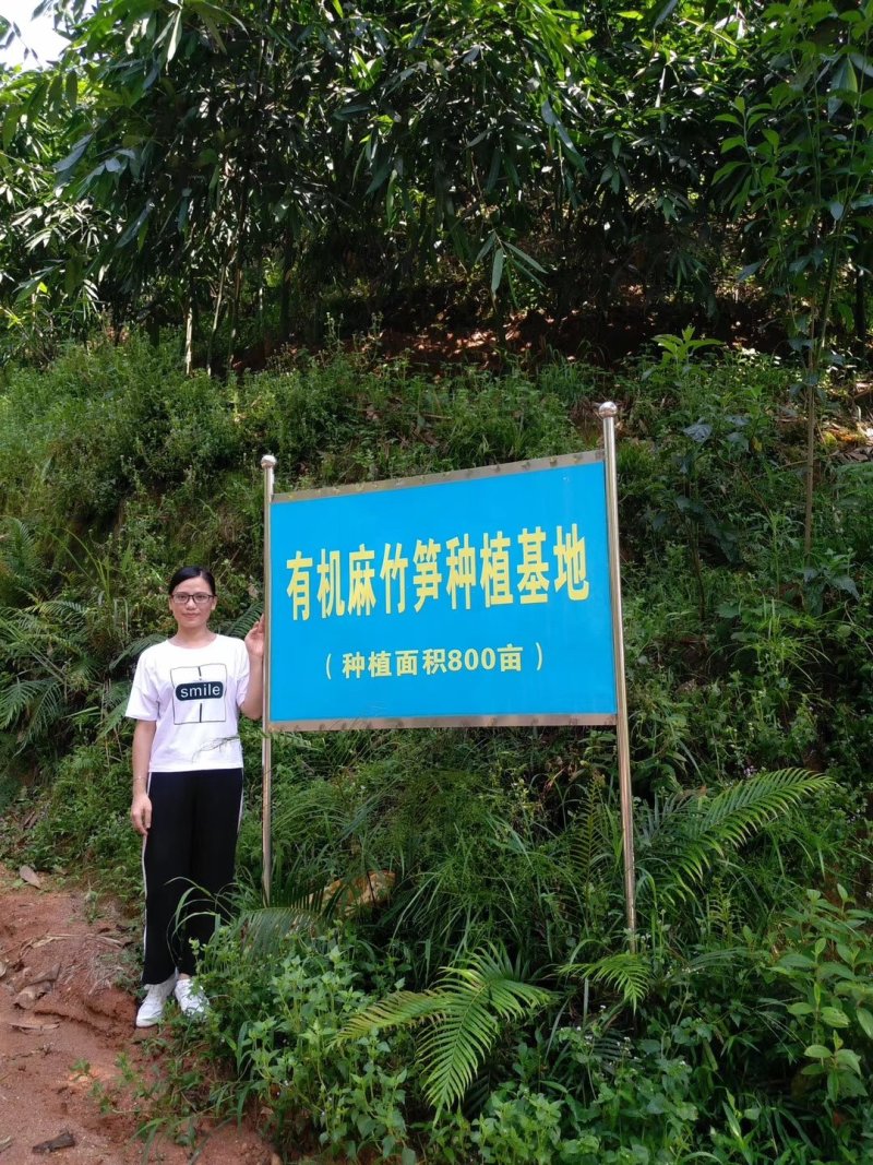有机麻笋干