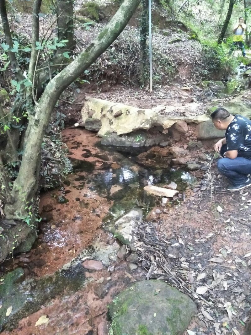 禄丰县金山镇全聚汇渔家山庄