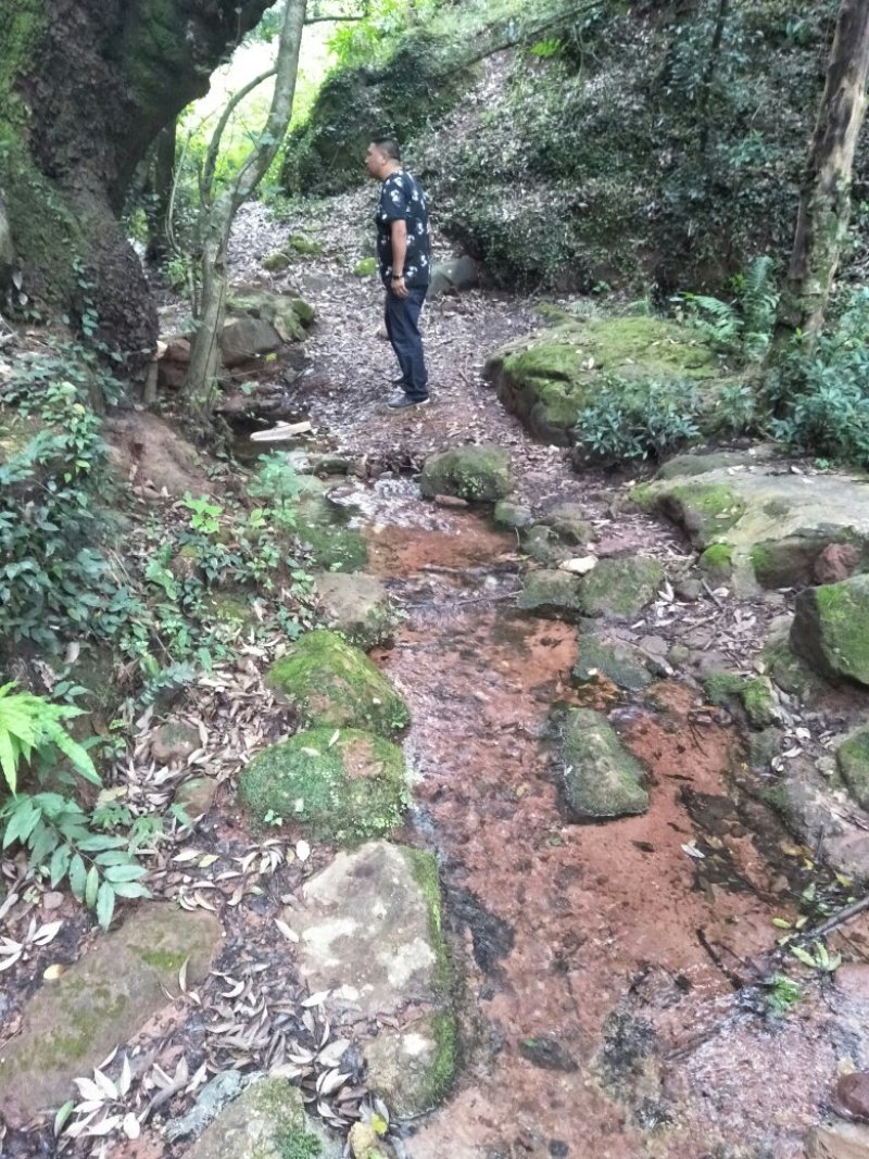 禄丰县金山镇全聚汇渔家山庄