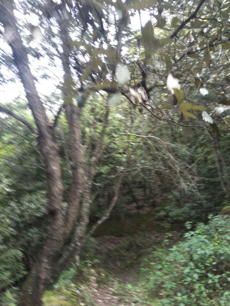 禄丰县金山镇全聚汇渔家山庄