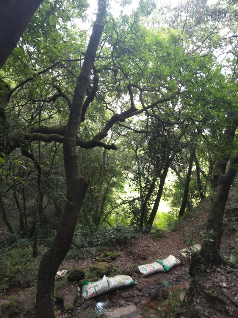 禄丰县金山镇全聚汇渔家山庄