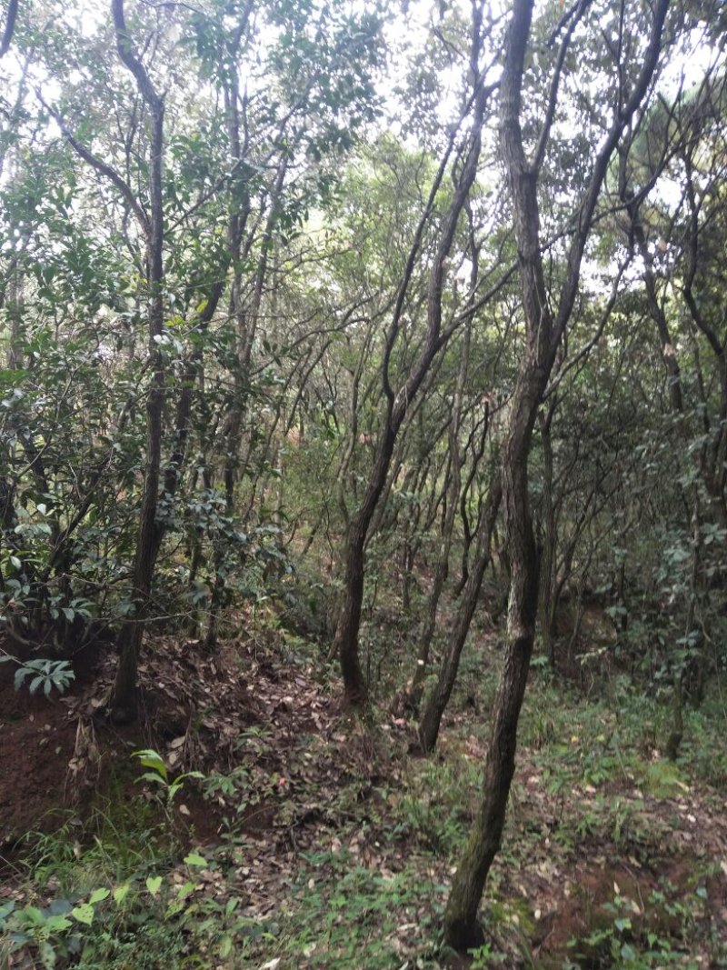 禄丰县金山镇全聚汇渔家山庄
