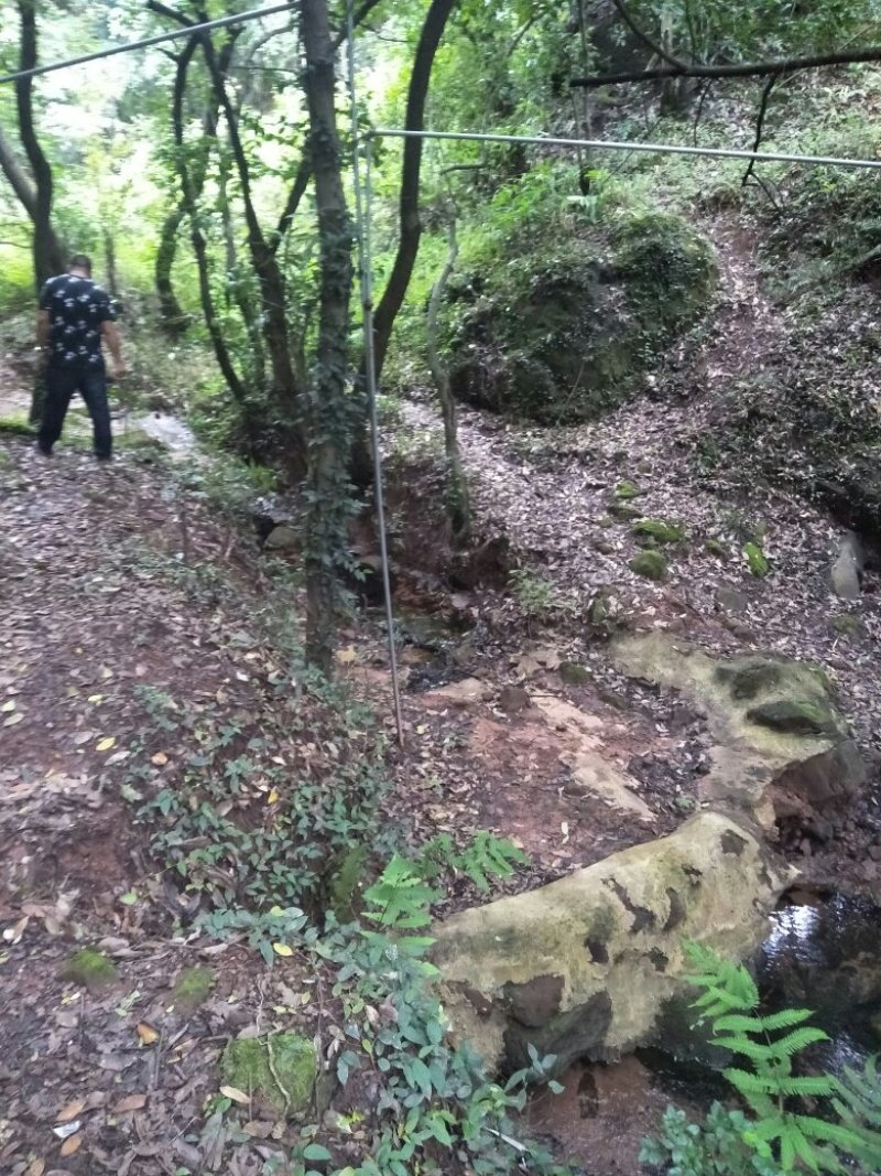 禄丰县金山镇全聚汇渔家山庄