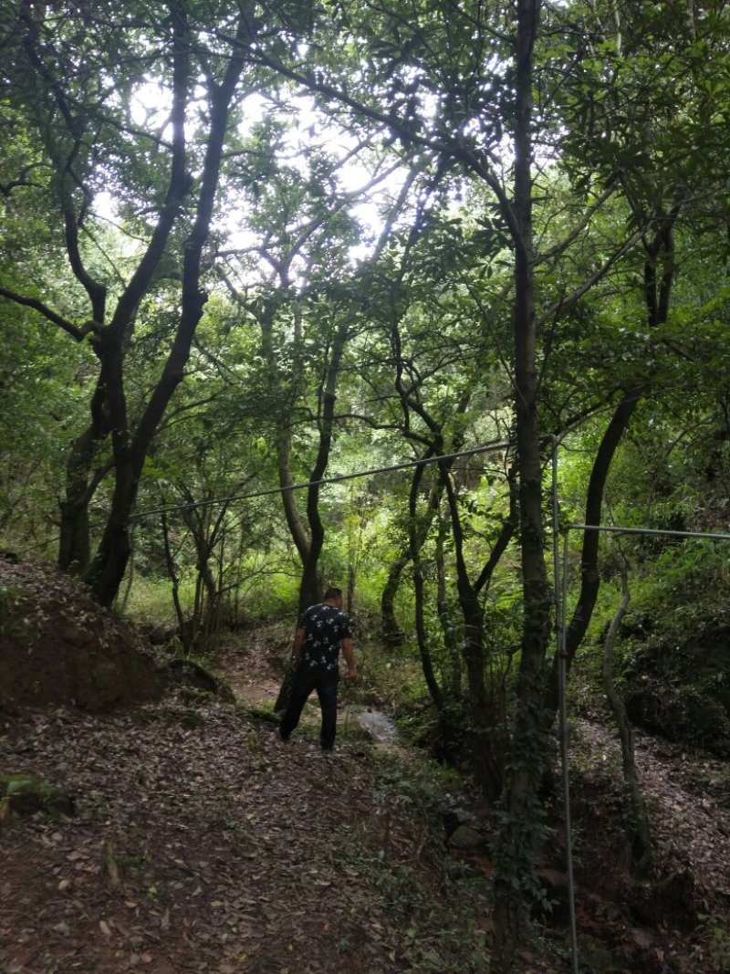 禄丰县金山镇全聚汇渔家山庄