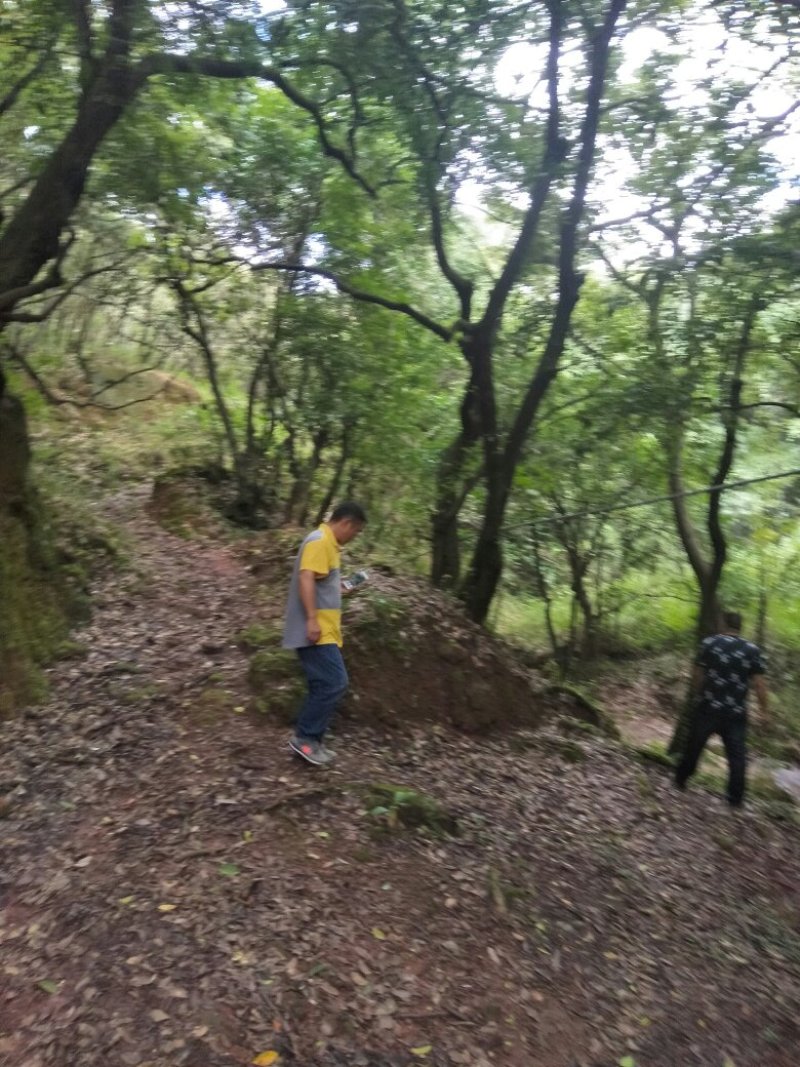 禄丰县金山镇全聚汇渔家山庄