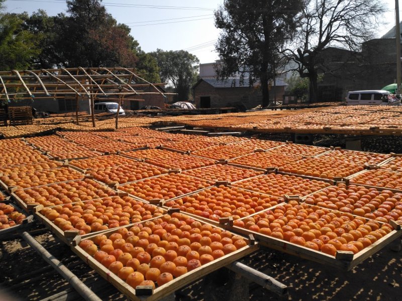 恭城柿饼