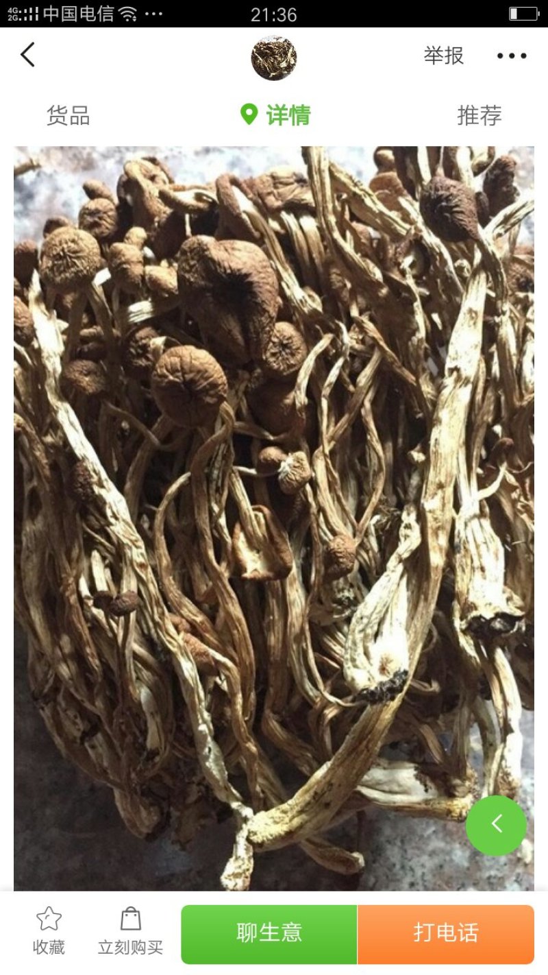 食用菌
