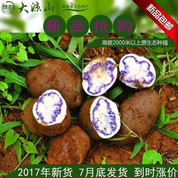 四川凉山乌洋芋七采土豆紫色小土豆马铃薯