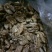 云南大理漾濞县，紫米核桃仁量大从优价格美丽
