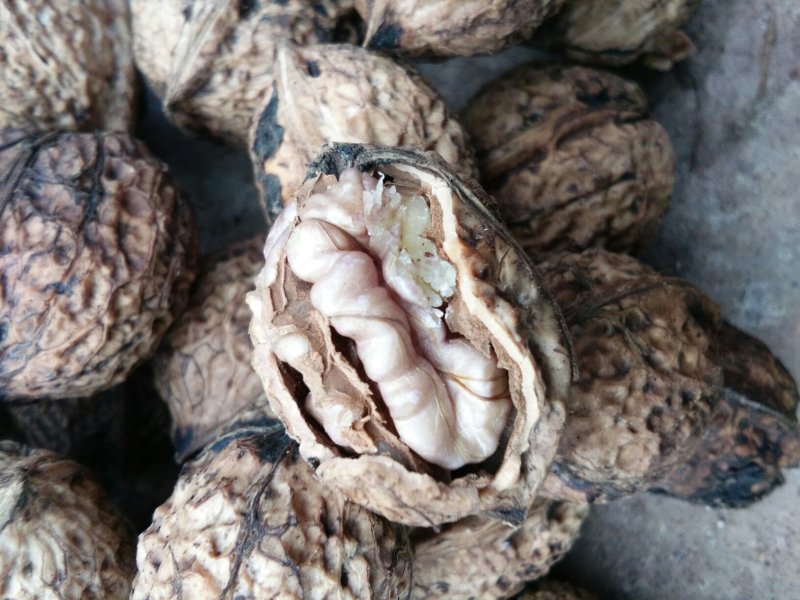 云南大理漾濞县，紫米核桃仁量大从优价格美丽