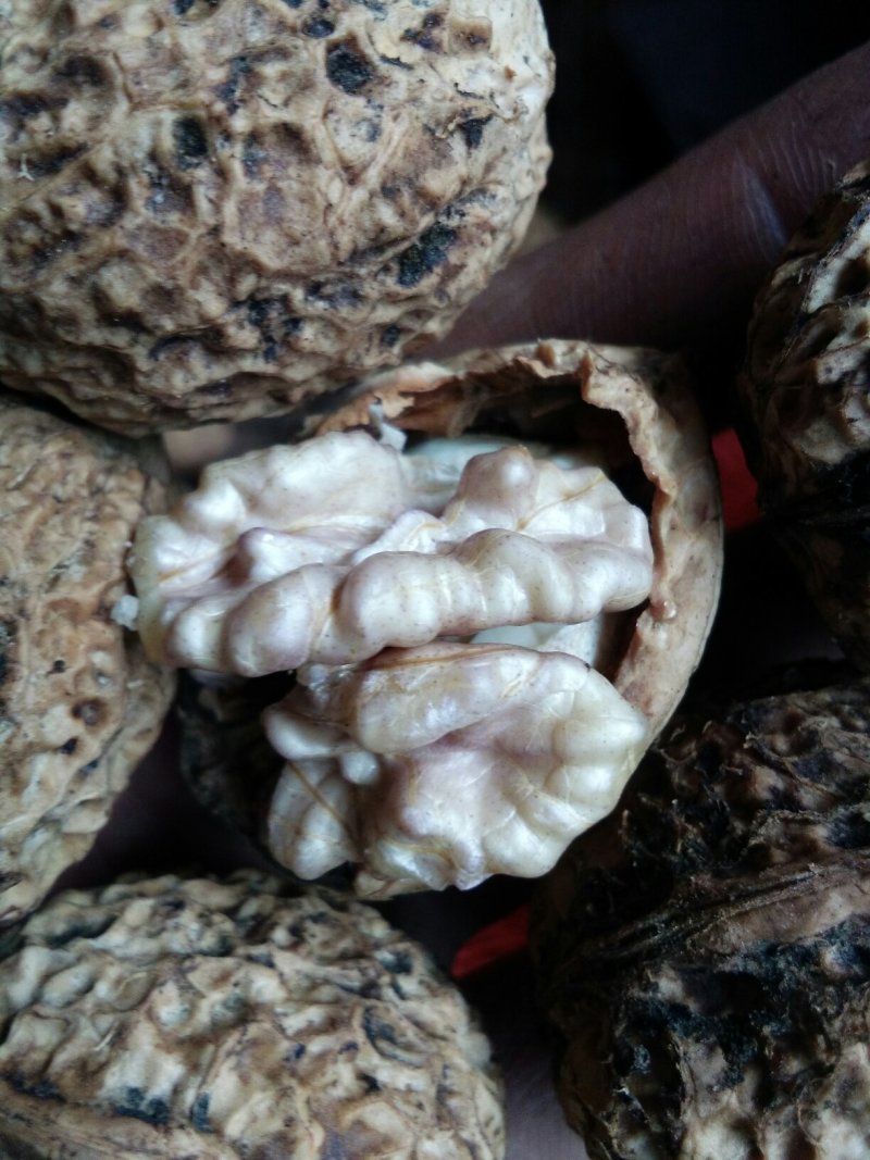 云南大理漾濞县，紫米核桃仁量大从优价格美丽