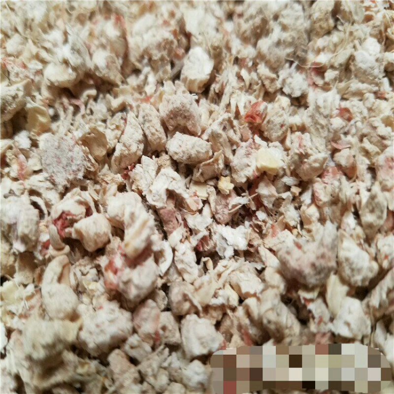 优质食用菌玉米芯货量充足质量保证欢迎咨询选购！！！