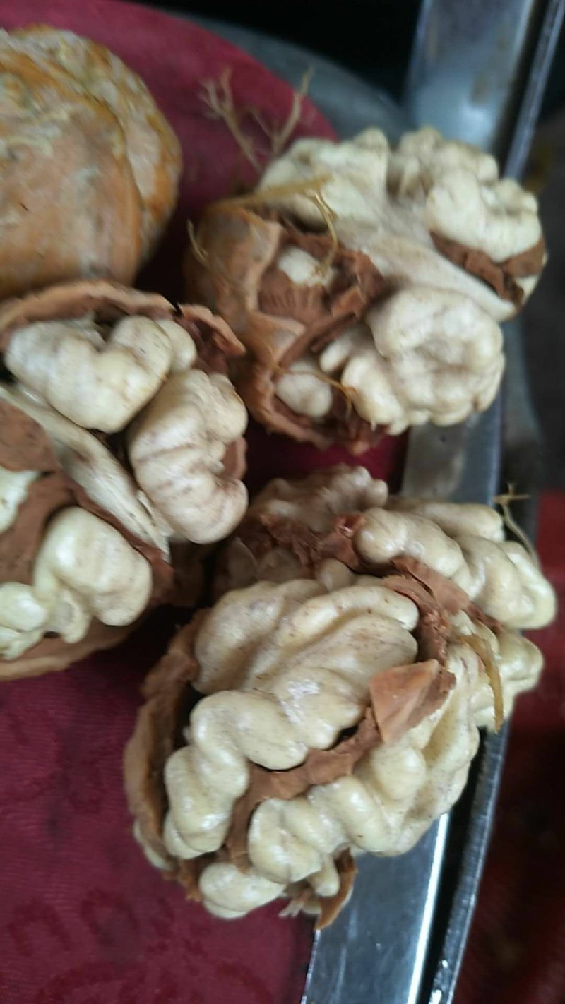 云南薄皮核桃去皮30mm以上湿