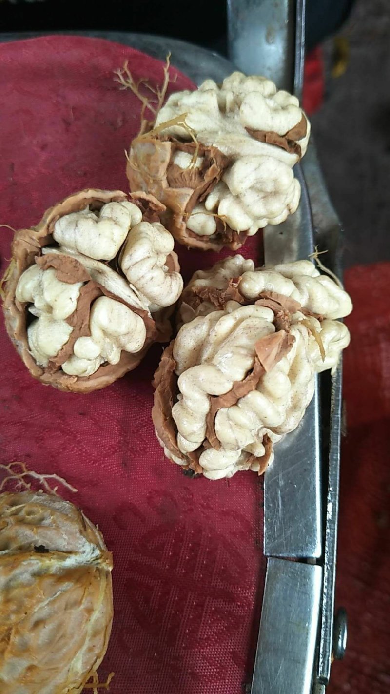 云南薄皮核桃去皮30mm以上湿