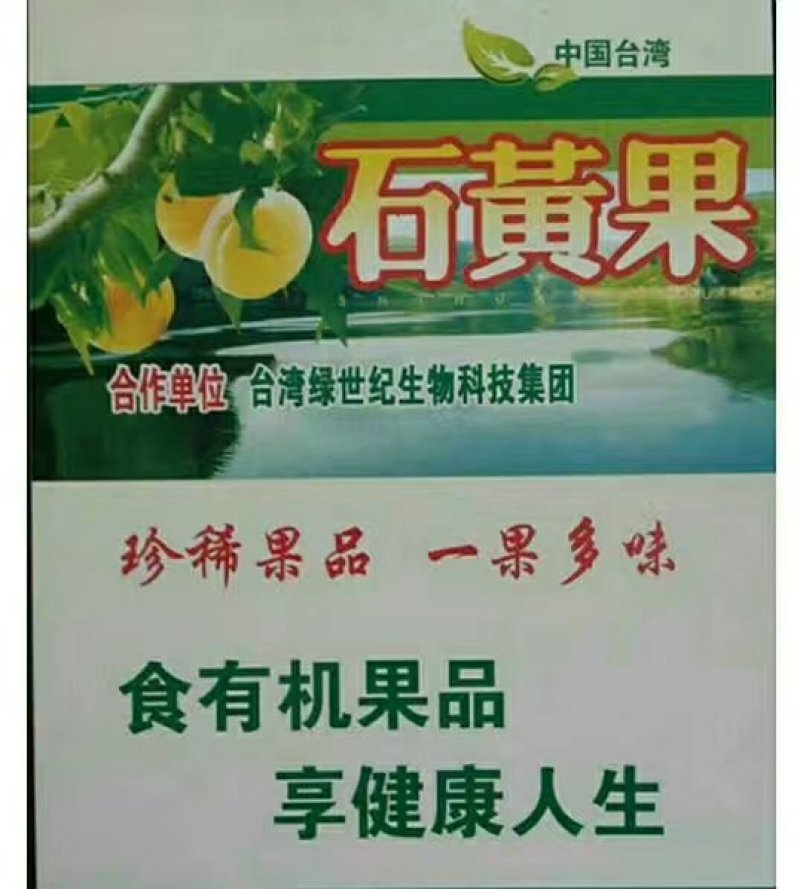 石黄果桃树苗，桃树苗。河南桃树苗。自家苗圃培育。