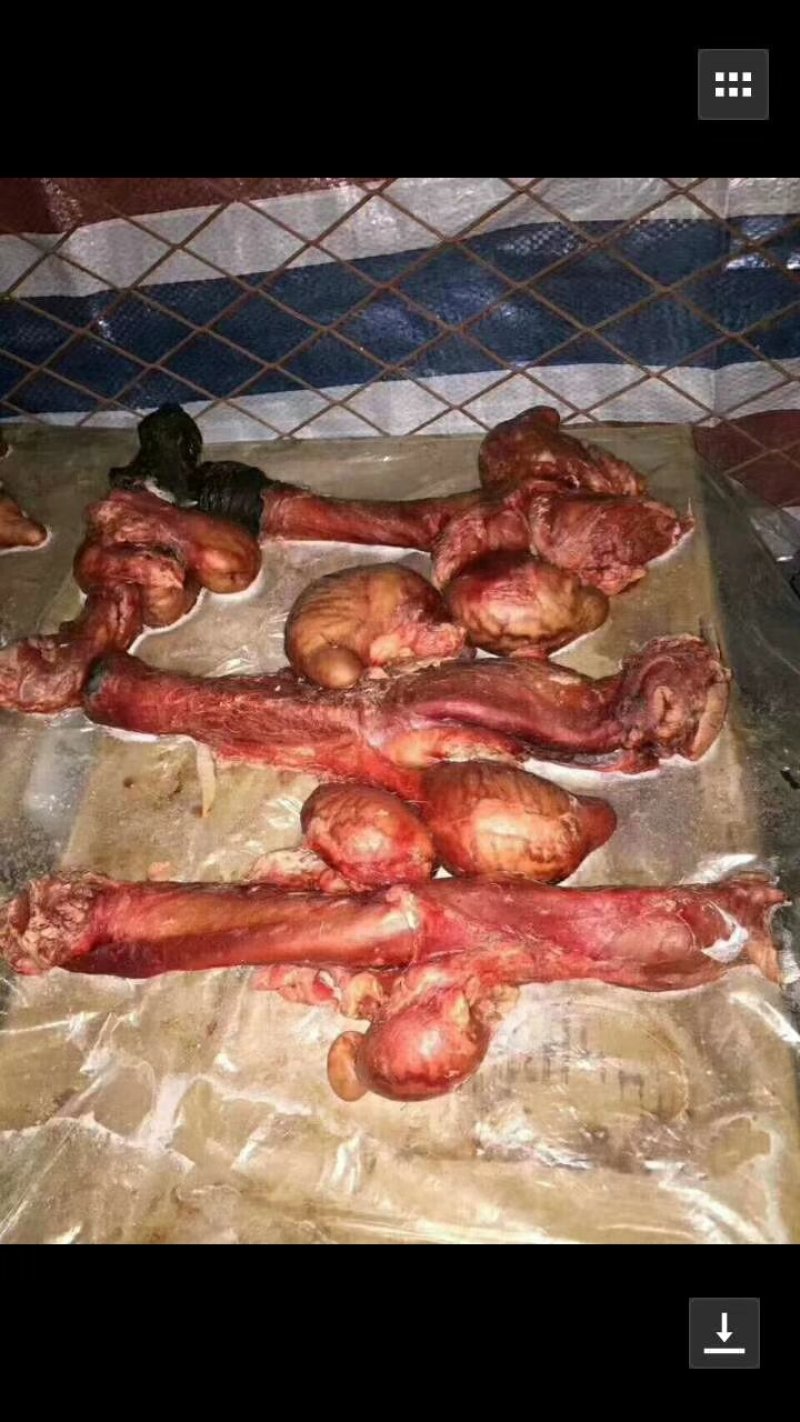 驴鞭驴皮驴肚口条等专业驴副产品