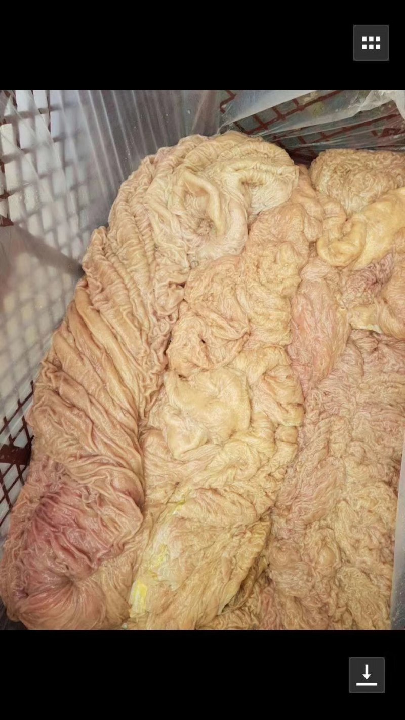 驴鞭驴皮驴肚口条等专业驴副产品