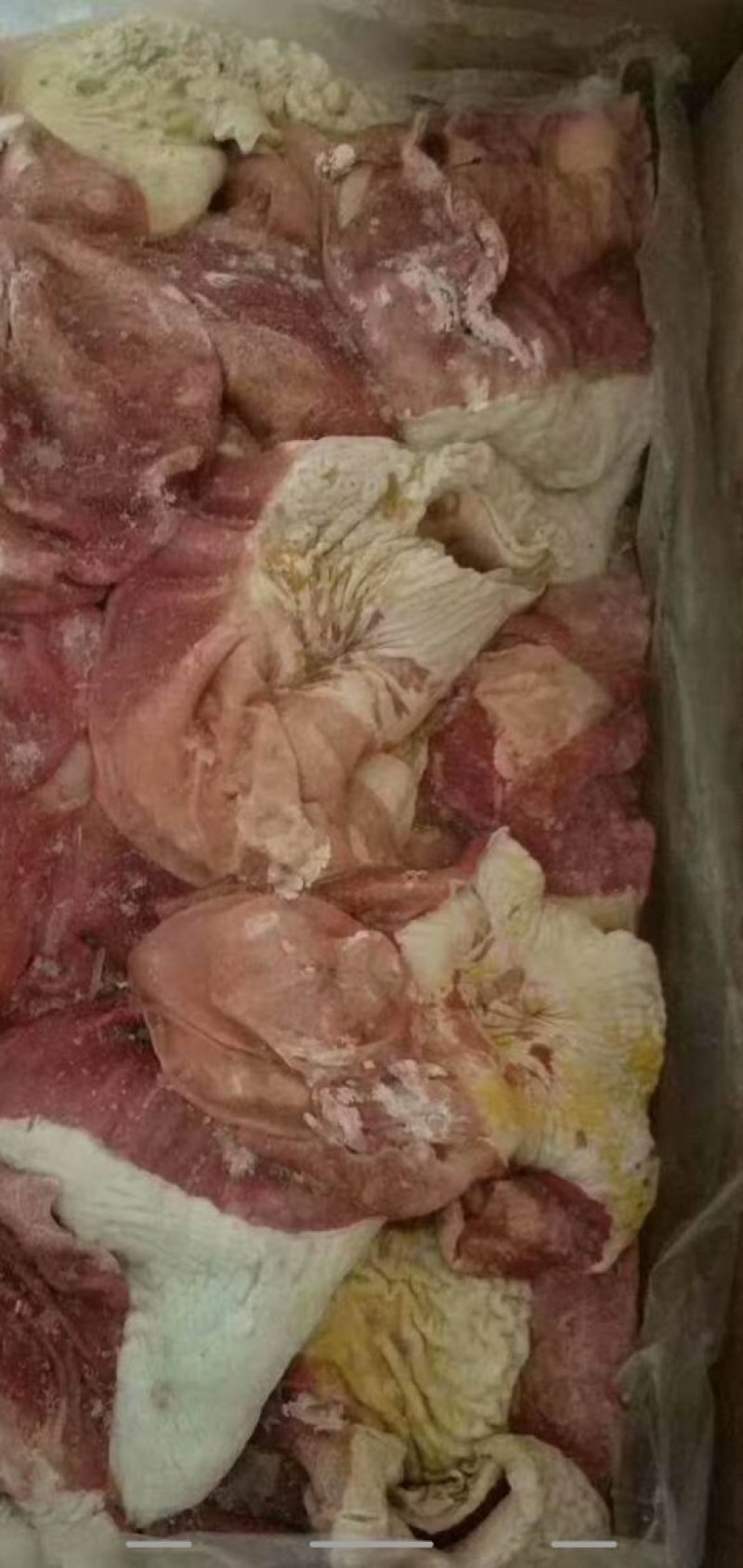 驴鞭驴皮驴肚口条等专业驴副产品