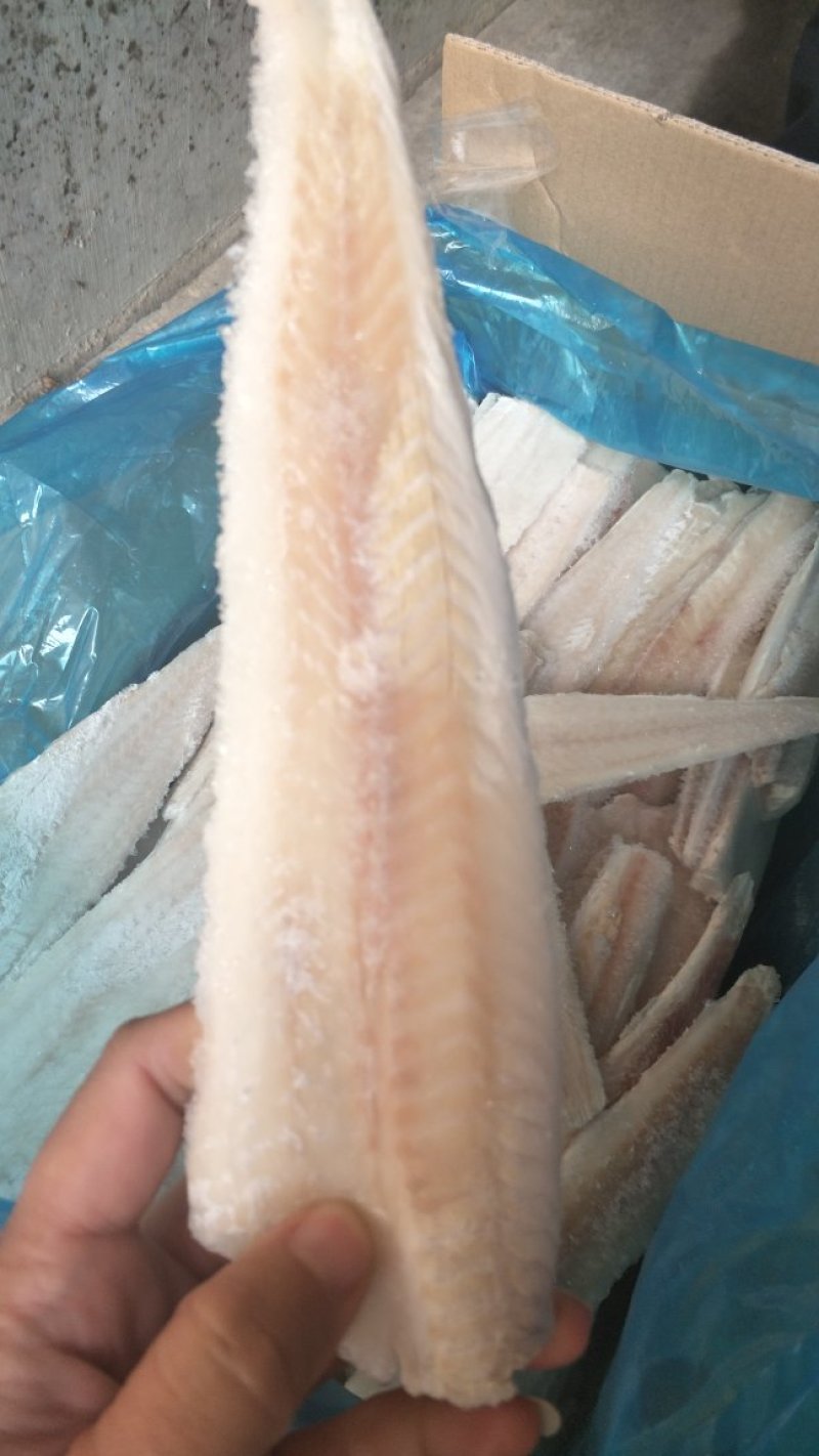 狭鳕片32吨
