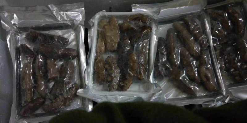 各种档次海参直供，一手货源，量大价优，还有工厂加工残次参