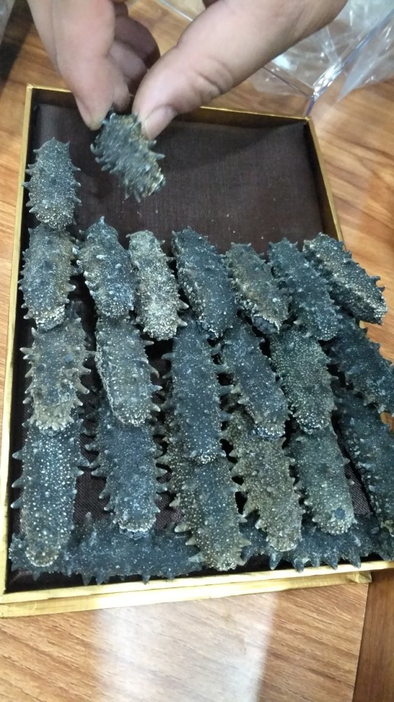各种档次海参直供，一手货源，量大价优，还有工厂加工残次参