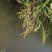 水产养殖，种植基地