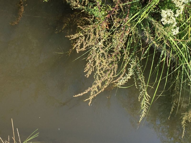 水产养殖，种植基地