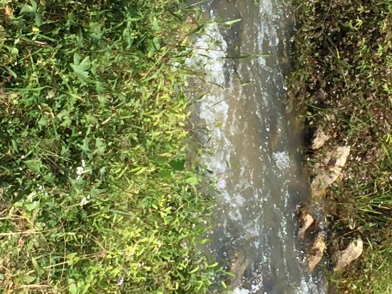 水产养殖，种植基地