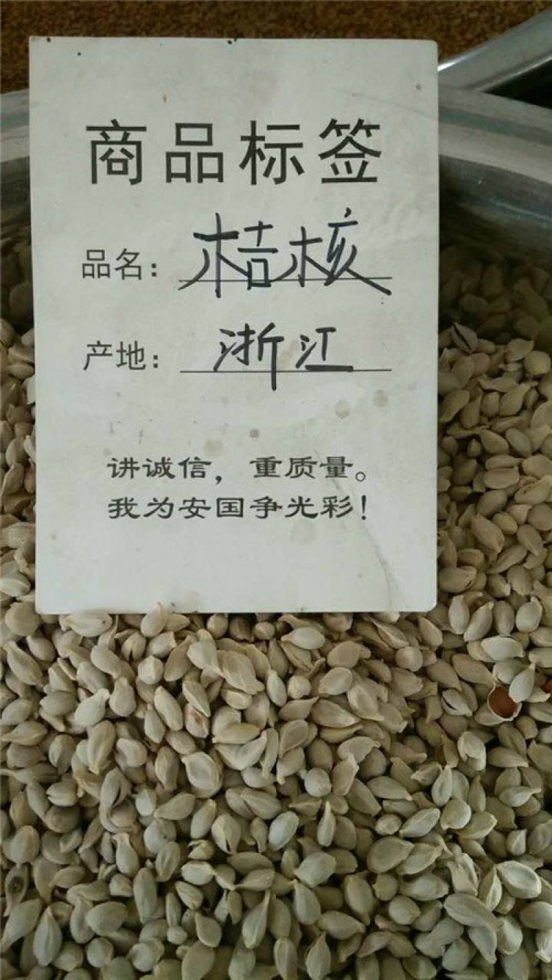 桔核千余种中药材