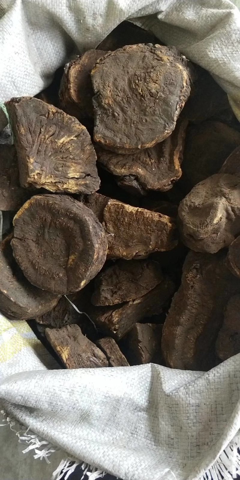 野生马蹄大黄全干无霉质量保证可视频看货