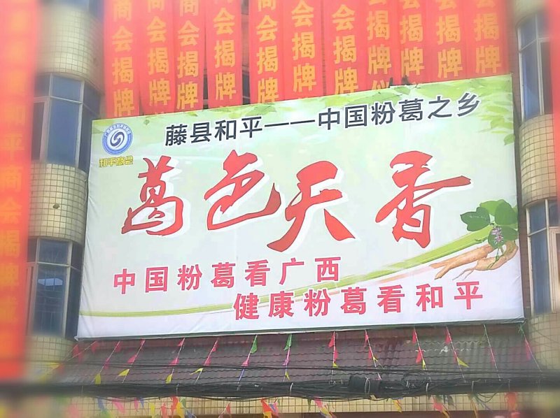 葛根粉纯葛粉种植葛根粉广西特产藤县和平镇特产包邮