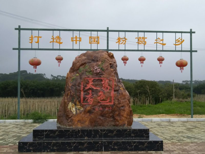 葛根粉纯葛粉种植葛根粉广西特产藤县和平镇特产包邮