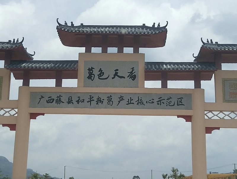 葛根粉纯葛粉种植葛根粉广西特产藤县和平镇特产包邮