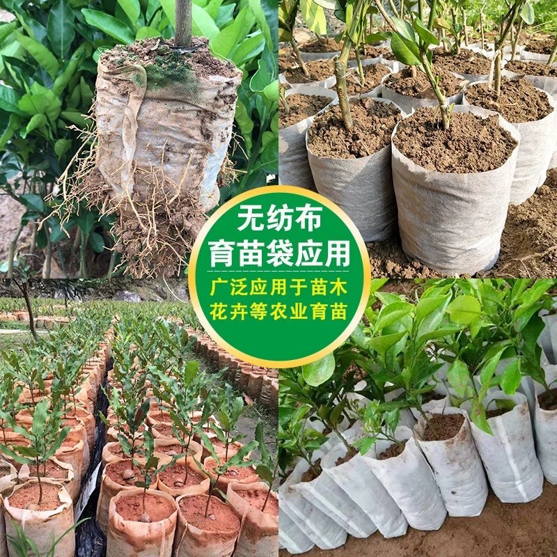 无纺布育苗袋