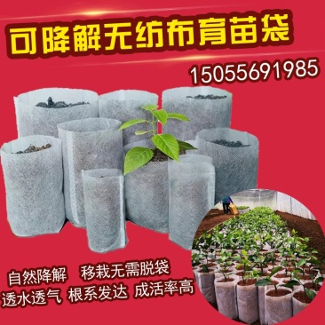 无纺布育苗袋